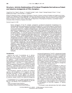 Structure&minus;Activity Relationships of Pyridoxal Phosphate Derivatives