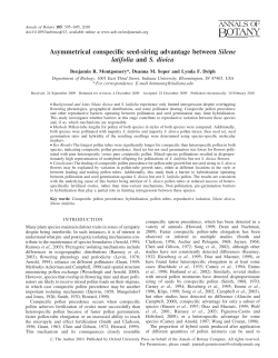 Asymmetrical conspecific seed-siring advantage
