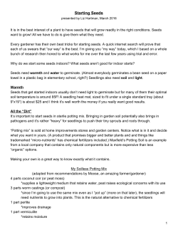 Starting Seeds - Sprout City Farms