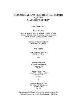 GEOLOGICAL AND GEOCHEMICAL REPORT