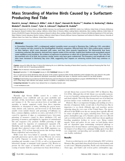 Mass Stranding of Marine Birds Caused by a Surfactant