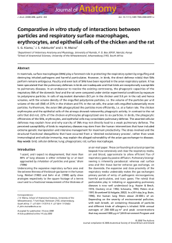Comparative in vitro study of interactions between particles and
