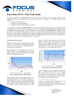 Focus Base PS 12 &ndash; Fish Tank Study