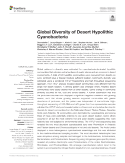 Global diversity of desert hypolithic cyanobacteria