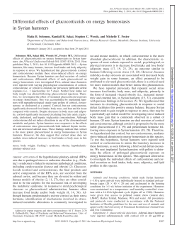 Differential effects of glucocorticoids on energy homeostasis in