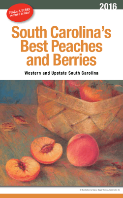 South Carolina`s Best Peaches and Berries