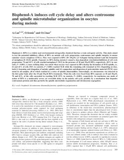Bisphenol-A induces cell cycle delay and alters