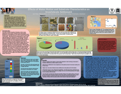 Effects of Water Motion and Substrate Characteristics on