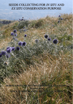 SEEDS COLLECTING FOR IN SITU AND EX SITU CONSERVATION