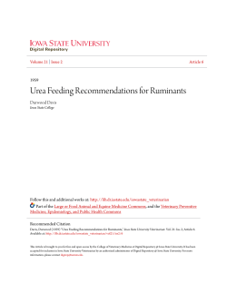 Urea Feeding Recommendations for Ruminants