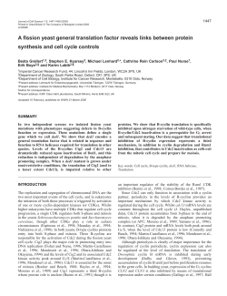Translation and the fission yeast cell cycle