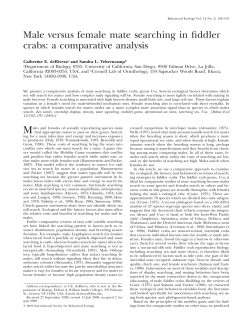Male versus female mate searching in fiddler crabs