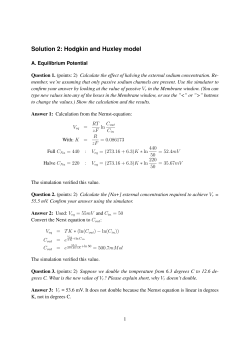 Solution 2: Hodgkin and Huxley model