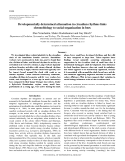 Developmentally determined attenuation in circadian rhythms links