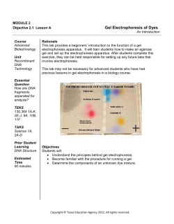 Gel Electrophoresis of Dyes