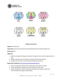 Feelings and Emotions Subject: Elementary Art Topic theme: Social
