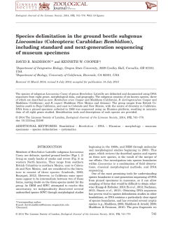 Species delimitation in the ground beetle subgenus Liocosmius