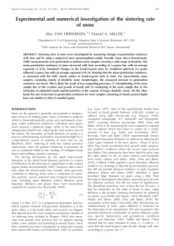 Experimental and numerical investigation of the sintering rate of snow