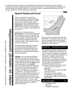 Upland - Notes on Natural Communities