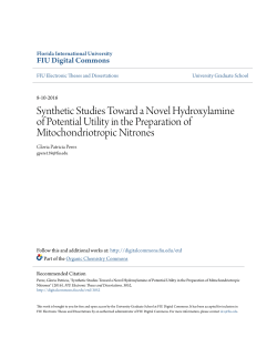 Synthetic Studies Toward a Novel Hydroxylamine of Potential Utility