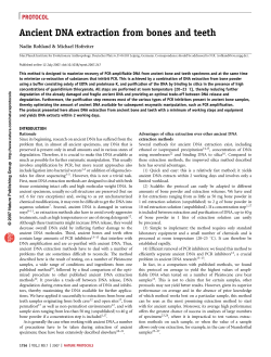 Ancient DNA extraction from bones and teeth