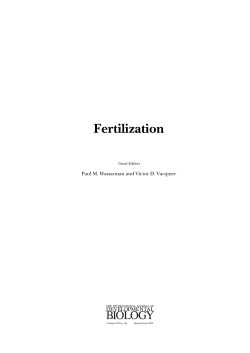 Fertilization - The International Journal of Developmental Biology