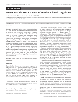 Evolution of the contact phase of vertebrate blood coagulation