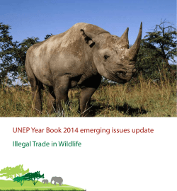 UNEP Year Book 2014 emerging issues update Illegal Trade in