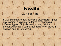 Fossils - Mrs. Meadows Science