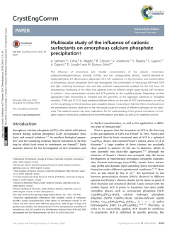 Multiscale study of the influence of cationic surfactants on