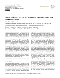 Spatial variability and the fate of cesium in coastal