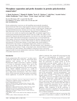 Mesophase separation and probe dynamics in protein