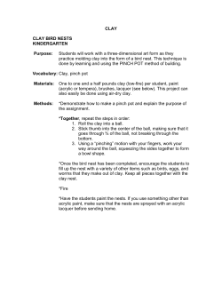 CLAY CLAY BIRD NESTS KINDERGARTEN