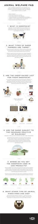 animal welfare faq