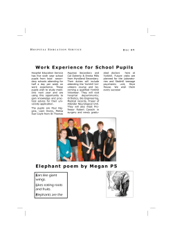 Elephant poem by Megan P5 - Hospital Education Service