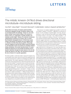 The mitotic kinesin-14 Ncd drives directional
