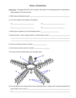 Phylum &ndash; Echinodermata A B F D E C