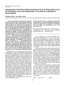 Determination of the Rate of Photoreduction of O2 in the Water