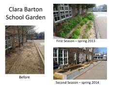 Clara Barton School Garden