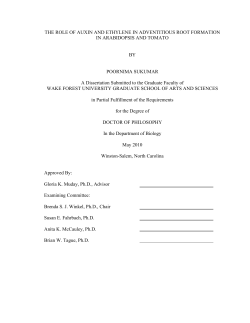 THE ROLE OF AUXIN AND ETHYLENE IN ADVENTITIOUS ROOT