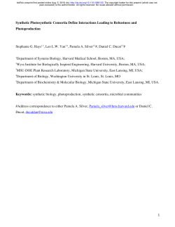 Synthetic Photosynthetic Consortia Define Interactions