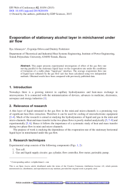 Evaporation of stationary alcohol layer in minichannel under air flow