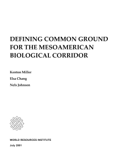 defining common ground for the mesoamerican biological corridor