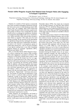 Female Adelie Penguins Acquire Nest Material from Extrapair Males