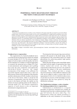 peripheral nerve regeneration through the nerve tubulization