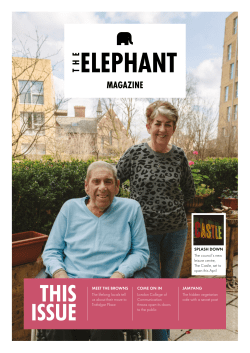 The Elephant issue 7 - Spring 2016