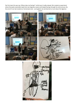 Our first topic this year was `Where does my food go?`, which year 4