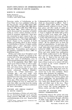 Man`s Influence on Hybridization in two Avian Species in South Dakota