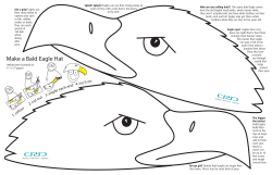 Make a Bald Eagle Hat