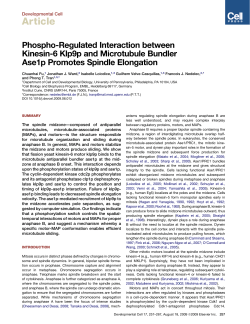 Phospho-Regulated Interaction between Kinesin-6 Klp9p